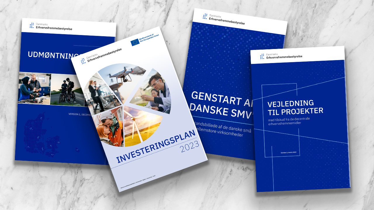 Investeringsplaner, rapporter og vejledninger 
